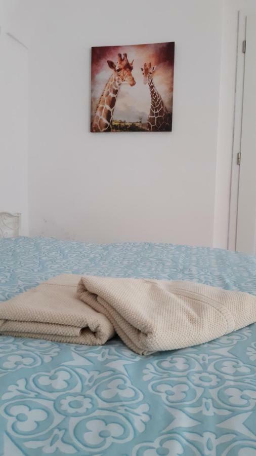 كَشّا Big Modern Doubleroom Near Cathedral المظهر الخارجي الصورة